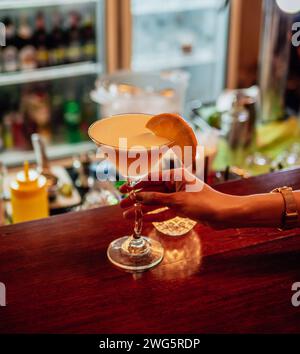 Frischer Cocktail mit Zitrone und Eis, alkoholisches, alkoholfreies Getränk. Nahaufnahme eines eiskalten modernen Gourmet-Cocktails aus Gin und Tonic-Limonade garniert Stockfoto