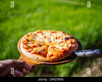 Pizza auf einem Bauernhof in Thailand mit grünen Reisfeldern, hausgemachter Pizza. Picknick auf dem grünen Rasen im Sommer mit köstlicher frisch gebackener Pizza. Sonnig Stockfoto