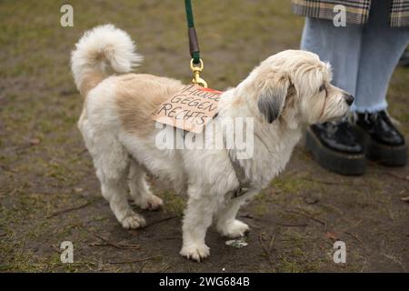 Berlin, Deutschland 03. Februar 2024: Menschenkette für Demokratie und gegen Rechtsextremismus an diesem Samstag am Berliner Reichstagsgebäude. Im Bild: Hund mit Schild: Hunde gegen rechts Reichstagsgebäude Berlin *** Berlin, Deutschland 03 Februar 2024 Menschenkette für Demokratie und gegen Rechtsextremismus am Samstag im Reichstagsgebäude in Berlin Bild Hund mit Schild Hunde gegen das rechte Reichstagsgebäude Berlin Copyright: XFotostandx/xReuhlx Stockfoto