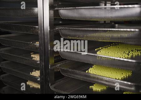 Fischköder auf dem Förderband in einer Fischfabrik Karpfenfischen Stockfoto