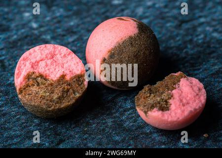 Fischköder auf dem Förderband in einer Fischfabrik Karpfenfischen Stockfoto