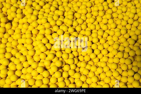 Fischköder auf dem Förderband in einer Fischfabrik Karpfenfischen Stockfoto