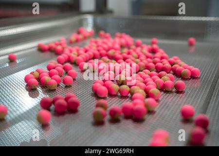 Fischköder auf dem Förderband in einer Fischfabrik Karpfenfischen Stockfoto