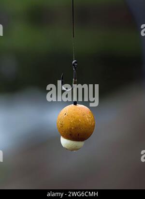 Fischköder auf dem Förderband in einer Fischfabrik Karpfenfischen Stockfoto