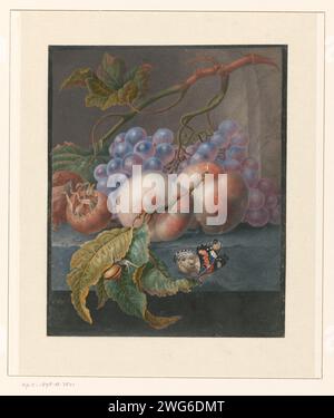 Früchte mit Schmetterling und Schnecke, Herman Henstenburgh, 1677 - 1726 Pergamentzeichnung (Tiermaterial). Deckfarbe. Aquarell (Farbe). Gouache (Farbe) Pinselinsekten: Schmetterling. Stillleben von verwandten Objekten. Obst Stockfoto