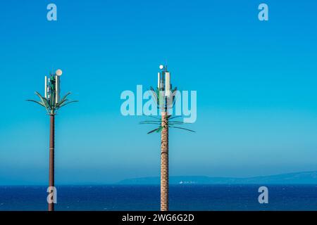 Telefonantennen versteckt in Palmen Stockfoto