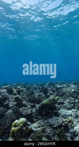 Sonnenstrahlen brechen über einem Korallenriff vor Fuvahmulah auf den Malediven Stockfoto