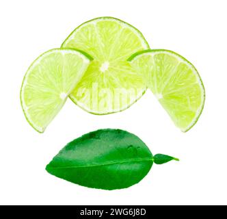 Die Draufsicht der Gruppe frischer grüner Zitronenscheiben im Stapel mit Blatt ist auf weißem Hintergrund mit Beschneidungspfad isoliert. Stockfoto