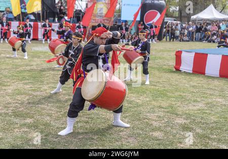 Buenos Aires, Argentinien - 3. Februar 2024: Japanischer junger Mann tanzt mit Trommel. EISA (japanischer Tanz mit Schlagzeug) in Varela Matsuri. Stockfoto