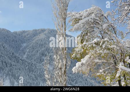 Wunderschöne natürliche Landschaft der Snowy Mountains Stockfoto