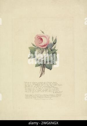 Roses with the Silhouettes of the Royal Family, 1816, Evert Maashamp, 1816 Print Bouquet mit einer rosa und einer weißen Rose, in die die Silhouetten der königlichen Familie eingearbeitet sind. Nach der Heirat des Prinzen von Orange und Anna Paulowna in Sankt Petersburg am 21. Februar 1816. Unter den Blumen eine achtzeilige Strophe und eine Liste der Namen der dargestellten Personen. Der Ausdruck enthält eine separate Erklärung. Amsterdam Papierblumen: Rose Stockfoto