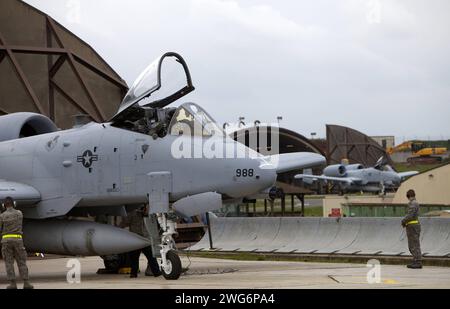 Ein Erdkampfflugzeug der US-amerikanischen Luftwaffe USAF vom Typ Fairchild-Republic A-10 Thunderbolt II auf der US-amerikanischen Luftwaffenbasis Spangdahlem in der Eifel. Das 81st Fighter Squadron wurde aufgelöst. Ein Erdkampfflugzeug der US-amerikanischen Luftwaffe USAF vom Typ Fairchild-Republic A-10 Thunderbolt II auf der US-amerikanischen Luftwaffenbasis Spangdahlem in der Eifel. Das 81st Fighter Squadron wurde aufgelöst. *** Eine Fairchild Republic Ein 10 Thunderbolt II Bodenangriffsflugzeug der US Air Force USAF auf dem US-Luftwaffenstützpunkt Spangdahlem in der Eifel die 81st Jagdgeschwader ist disb Stockfoto