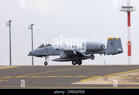 Ein Erdkampfflugzeug der US-amerikanischen Luftwaffe USAF vom Typ Fairchild-Republic A-10 Thunderbolt II auf der US-amerikanischen Luftwaffenbasis Spangdahlem in der Eifel. Das 81st Fighter Squadron wurde aufgelöst. Ein Erdkampfflugzeug der US-amerikanischen Luftwaffe USAF vom Typ Fairchild-Republic A-10 Thunderbolt II auf der US-amerikanischen Luftwaffenbasis Spangdahlem in der Eifel. Das 81st Fighter Squadron wurde aufgelöst. *** Eine Fairchild Republic Ein 10 Thunderbolt II Bodenangriffsflugzeug der US Air Force USAF auf dem US-Luftwaffenstützpunkt Spangdahlem in der Eifel die 81st Jagdgeschwader ist disb Stockfoto