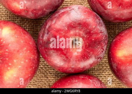 Mehrere rote Äpfel auf Jutetuch, Makro, Draufsicht. Stockfoto