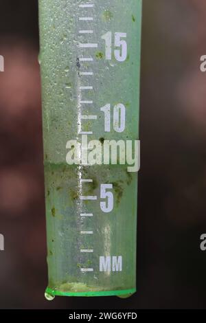 Niederschlagsmesser aus Kunststoff ein handelsüblicher Regenmesser aus Kunststoff für den Garten zeigt 7 Liter Regen pro Quadratmeter an *** Kunststoff-Regenmesser Ein Standard-Kunststoff-Regenmesser für den Garten zeigt 7 Liter Regen pro Quadratmeter an Stockfoto