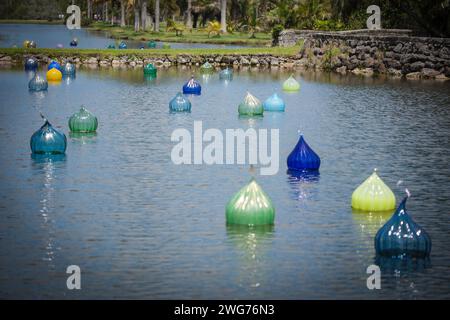 Walla Wallas aus mundgeblasenem Glas von Dale Chihuly schwimmend auf dem See im Fairchild Tropical Botanic Garden, Miami, Florida, USA Stockfoto