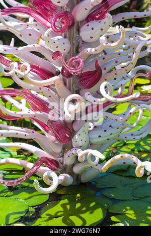 Dale Chihuly's mundgeblasenes Glas in einem Seerosenteich im Fairchild Tropical Botanic Garden, Miami, Florida, USA Stockfoto