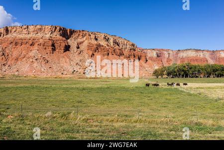 Usa. Utah. Wayne County. Entlang des Scenic Byway 12 zwischen Torrey und Boulder. Stockfoto