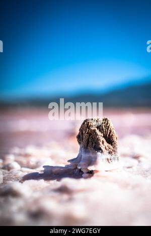 Kos, Griechenland, Saltlake Stockfoto