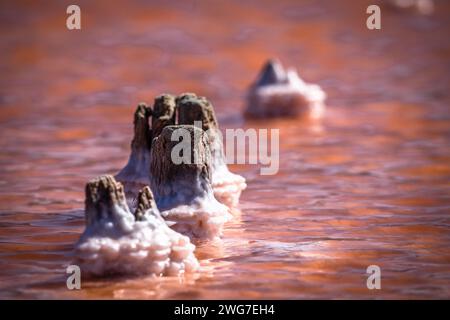 Kos, Griechenland, Saltlake Stockfoto