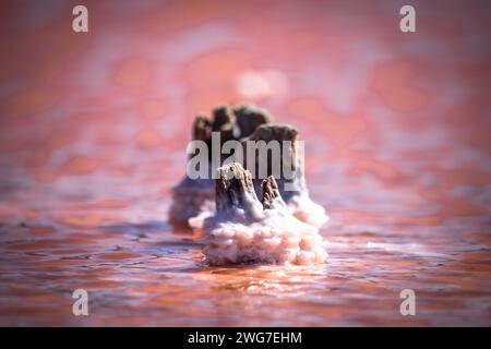 Kos, Griechenland, Saltlake Stockfoto