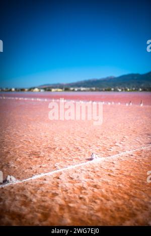 Kos, Griechenland, Saltlake Stockfoto