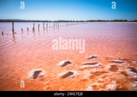 Kos, Griechenland, Saltlake Stockfoto