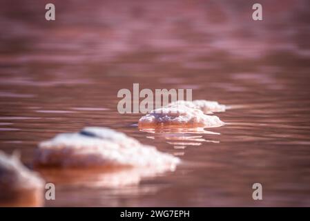 Kos, Griechenland, Saltlake Stockfoto