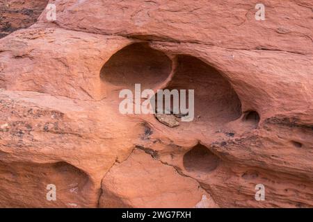 Usa. Utah. Arches National Park. Löcher in Sandstein auf dem Weg zum Delicate Arch. Der Park liegt etwa 8 Meilen nördlich von Moab (Grand Co Stockfoto