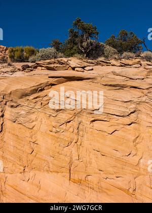 Usa. Bundesstaat Utah. Garfield County. Sandsteinklippen entlang des Scenic Byway 12 zwischen Boulder und Escalante. Stockfoto