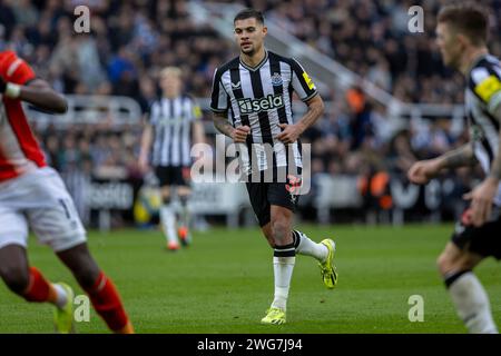 Newcastle upon Tyne, Großbritannien. Februar 2024. Newcastle upon Tyne, England, 3. Februar 2024: Bruno Guimarães aus Newcastle während des Premier League-Fußballspiels zwischen Newcastle United und Luton Town im St James Park in Newcastle upon Tyne, England (Richard Callis/SPP) Credit: SPP Sport Press Photo. /Alamy Live News Stockfoto