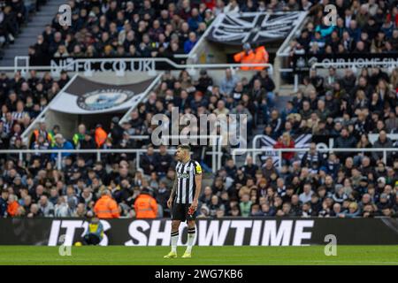 Newcastle upon Tyne, Großbritannien. Februar 2024. Newcastle upon Tyne, England, 3. Februar 2024: Bruno Guimarães aus Newcastle während des Premier League-Fußballspiels zwischen Newcastle United und Luton Town im St James Park in Newcastle upon Tyne, England (Richard Callis/SPP) Credit: SPP Sport Press Photo. /Alamy Live News Stockfoto