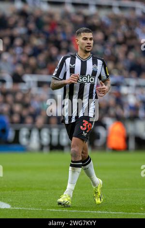 Newcastle upon Tyne, Großbritannien. Februar 2024. Newcastle upon Tyne, England, 3. Februar 2024: Bruno Guimarães aus Newcastle während des Premier League-Fußballspiels zwischen Newcastle United und Luton Town im St James Park in Newcastle upon Tyne, England (Richard Callis/SPP) Credit: SPP Sport Press Photo. /Alamy Live News Stockfoto