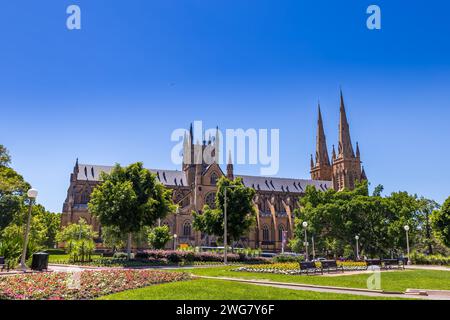 Sydney, Australien – 26. Dezember 2021: St. Mary’s Cathedral vom Hyde Park aus gesehen. Stockfoto