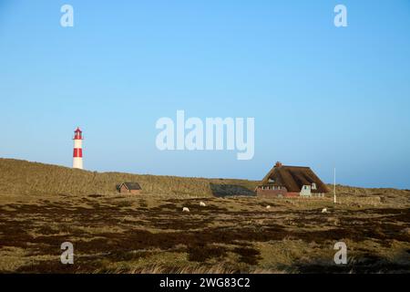 Leuchtturm List-Ost an der Westküste der Insel Sylt in der Nordsee, 26.01.2024 Schleswig-Holstein Deutschland *** Liste Leuchtturm Ost auf der West coa Stockfoto