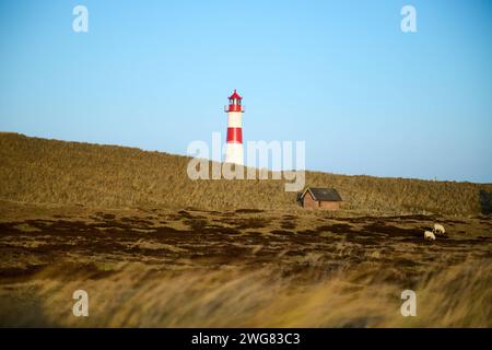 Leuchtturm List-Ost an der Westküste der Insel Sylt in der Nordsee, 26.01.2024 Schleswig-Holstein Deutschland *** Liste Leuchtturm Ost auf der West coa Stockfoto