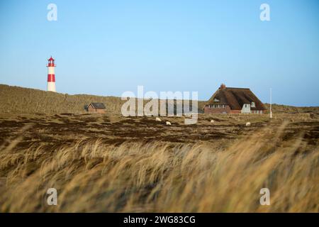 Leuchtturm List-Ost an der Westküste der Insel Sylt in der Nordsee, 26.01.2024 Schleswig-Holstein Deutschland *** Liste Leuchtturm Ost auf der West coa Stockfoto