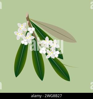 Olivenzweig mit Blumen und Blättern auf grünem Hintergrund. Stock Vektor