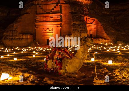 Kamel vor den antiken Gräbern der Stadt Hegra, beleuchtet während der Nacht, Al Ula, Saudi-Arabien Stockfoto