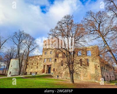 Eine Low-Angle-Aufnahme des Kamieniec Zabkowicki Palastes in Polen Stockfoto