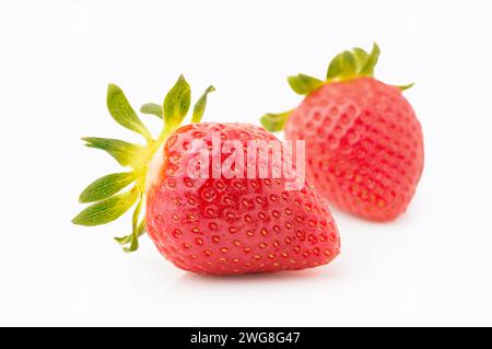 Nahaufnahme von frischen Erdbeeren auf weißem Hintergrund Stockfoto