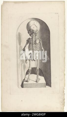 Anatomische Untersuchung des Skeletts eines Feten (Rücken), Pieter van Gunst, nach Gerard de Lairesse, 1685 Print Anatomische Untersuchung des Hinterteils des Skeletts eines Feten. T. 102 oben rechts. Amsterdamer Papiergravur (menschliches) Skelett (+ junger Mann (Mensch)). Der Fetus. (Menschliches) Skelett (+ Rückansicht) Stockfoto