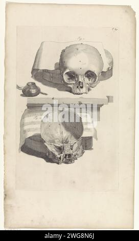 Anatomische Untersuchung eines Schädels, Pieter van Gunst, nach Gerard de Lairesse, 1685 Print Anatomische Untersuchung der Vorder- und Innenseite eines Schädels. Ein Musikmagazin hinter dem Schädel. T. 89 oben rechts. Amsterdamer Papierätzung / Gravur (menschlicher) Schädel. Notation von Musik Stockfoto