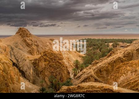 Der Blick aus der Vogelperspektive über die Tschebika-Oase in der Sahara in Tunesien, mit Palmen, Canyons und Trockengebiet in der Nähe der Stadt Tozeur. Stockfoto