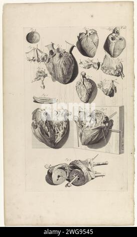 Anatomische Untersuchung des Herzens, Pieter van Gunst, nach Gerard de Lairesse, 1685 Print Anatomische Untersuchung des Herzens mit Dissektion der Herzkammern. Oben rechts mit der Nummer T. 22. Amsterdamer Papiergravurherz. Teile des Herzens Stockfoto