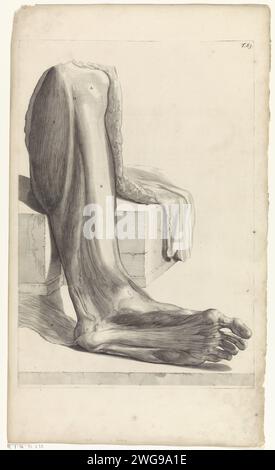 Anatomische Untersuchung des unteren rechten Fußes, Pieter van Gunst, nach Gerard de Lairesse, 1685 Druck Anatomische Untersuchung des unteren rechten Fußes. T. 83 oben rechts. Amsterdamer Papier-Ätz-/Gravurfuß. Muskeln. Unteres Bein Stockfoto