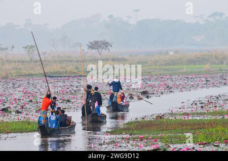 Sylhet, Bangladesch. Februar 2024. Besucher genießen eine Bootsfahrt am nebeligen Wintermorgen am Jaintapur upazila Dibir Haor in Sylhet, Bangladesch. Dibir Haor ist für Reisende als das Königreich Shapla (Rote Seerose) bekannt. In diesem Haor, der am Ufer der Hügel von Meghalaya liegt, blühten in der Wintersaison viele rote Seerosen (Shapla). Am 3. Februar 2024 Sylhet, Bangladesch (Foto: MD Rafayat Haque Khan/Eyepix Group/SIPA USA) Credit: SIPA USA/Alamy Live News Stockfoto