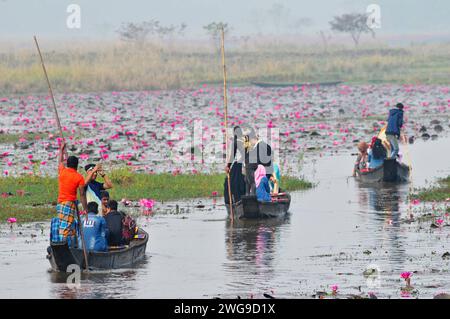 Sylhet, Bangladesch. Februar 2024. Besucher genießen eine Bootsfahrt am nebeligen Wintermorgen am Jaintapur upazila Dibir Haor in Sylhet, Bangladesch. Dibir Haor ist für Reisende als das Königreich Shapla (Rote Seerose) bekannt. In diesem Haor, der am Ufer der Hügel von Meghalaya liegt, blühten in der Wintersaison viele rote Seerosen (Shapla). Am 3. Februar 2024 Sylhet, Bangladesch (Foto: MD Rafayat Haque Khan/Eyepix Group/SIPA USA) Credit: SIPA USA/Alamy Live News Stockfoto