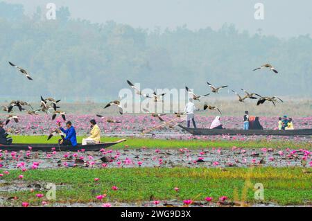 Sylhet, Bangladesch. Februar 2024. Besucher genießen eine Bootsfahrt am nebeligen Wintermorgen am Jaintapur upazila Dibir Haor in Sylhet, Bangladesch. Dibir Haor ist für Reisende als das Königreich Shapla (Rote Seerose) bekannt. In diesem Haor, der am Ufer der Hügel von Meghalaya liegt, blühten in der Wintersaison viele rote Seerosen (Shapla). Am 3. Februar 2024 Sylhet, Bangladesch (Foto: MD Rafayat Haque Khan/Eyepix Group/SIPA USA) Credit: SIPA USA/Alamy Live News Stockfoto