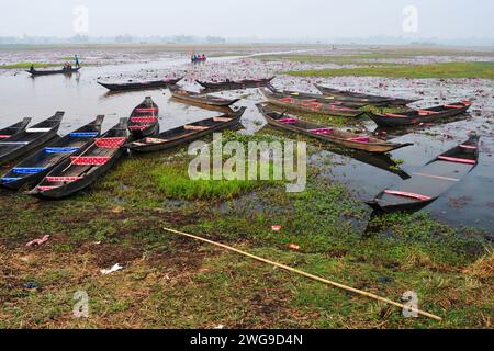 Sylhet, Bangladesch. Februar 2024. Besucher genießen eine Bootsfahrt am nebeligen Wintermorgen am Jaintapur upazila Dibir Haor in Sylhet, Bangladesch. Dibir Haor ist für Reisende als das Königreich Shapla (Rote Seerose) bekannt. In diesem Haor, der am Ufer der Hügel von Meghalaya liegt, blühten in der Wintersaison viele rote Seerosen (Shapla). Am 3. Februar 2024 Sylhet, Bangladesch (Foto: MD Rafayat Haque Khan/Eyepix Group/SIPA USA) Credit: SIPA USA/Alamy Live News Stockfoto